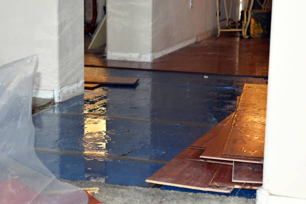 Professional Water Damage Repair technician working in Easton, CT